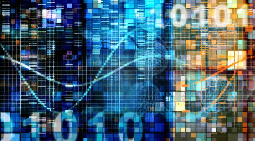 Dutch data protection watchdog starts monitoring 