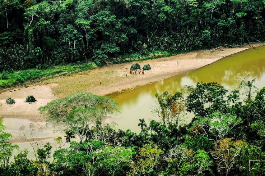 France's BNP to stop financing firms farming deforested land in the Amazon