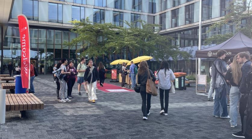 Dutch universities cut English-only programs by a third, offering more Dutch options