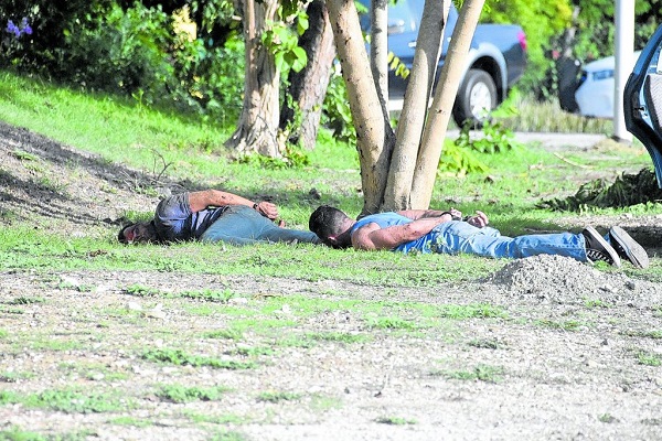 Robbers lottery office Julianadorp shoot at police