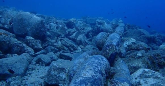 Curaçao Coral Exports Raise Environmental Concerns