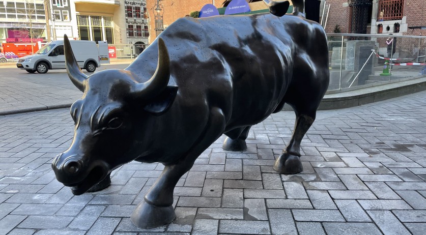 Amsterdam's AEX Index briefly sets record above 800 before falling several points