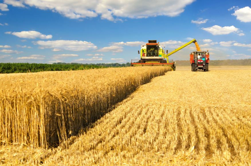 Rising costs drive down Canadian farm income 21%