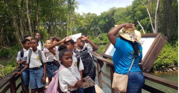 Carmabi reaches nearly 15,000 students with educational programs