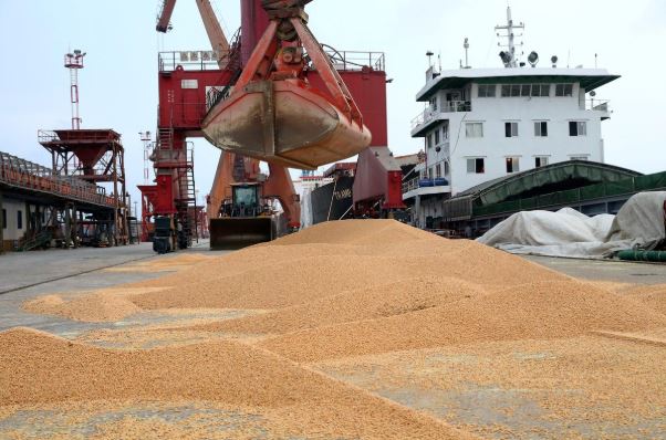 China's 2018 soybean imports from U.S. hit lowest since 2008 3 MIN READ  BEIJING (Reuters) - China’s soybean imports from the Un