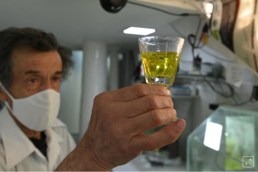 Bolivians try chlorine dioxide for COVID-19, despite health ministry warnings