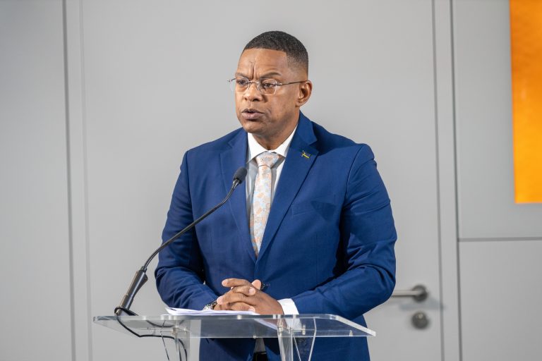 There are aspects from which Curaçao, compared to other small islands in development, can derive economic benefits