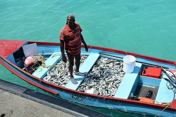 Thank you Mia Mottley for speaking on behalf of the Caribbean on climate change