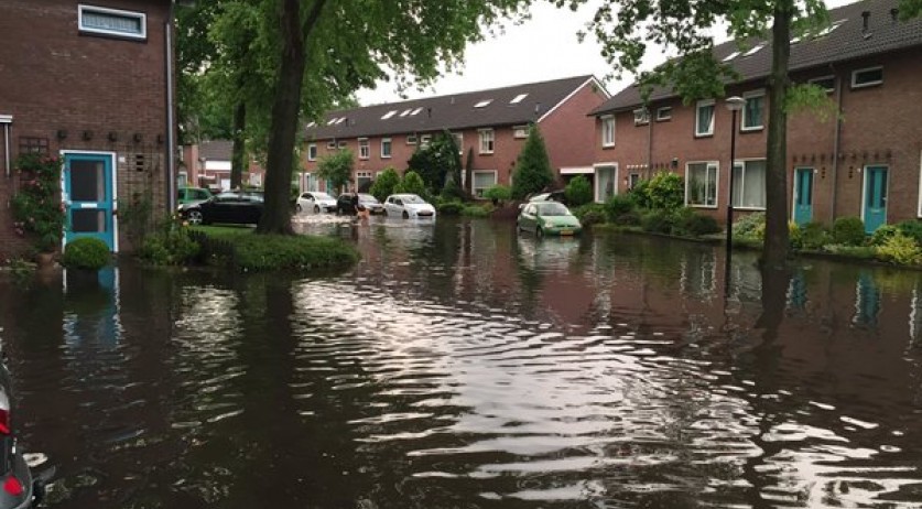 Rapid climate change: Netherlands needs to prepare for heat, drought & flooding