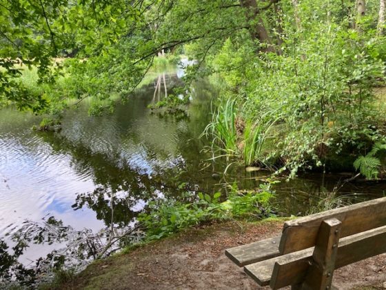 Dutch waters too polluted to meet EU norms: NRC