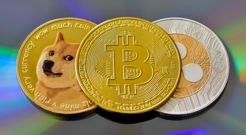 Taking a gamble and curiosity are top reasons for buying crypto, says Dutch watchdog