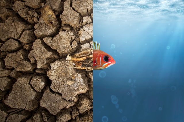 Together we can build resilience against climate change