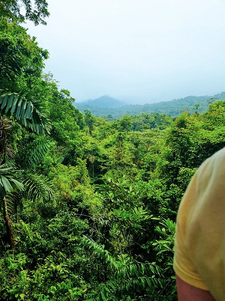 Military training in Surinamese jungle