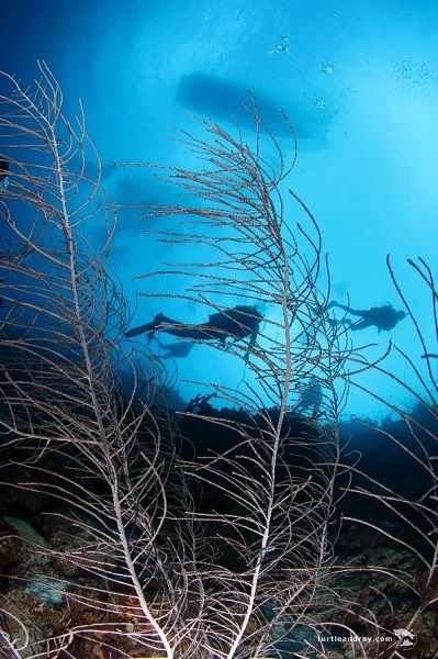 More and more undeclared workers in the tourist sector