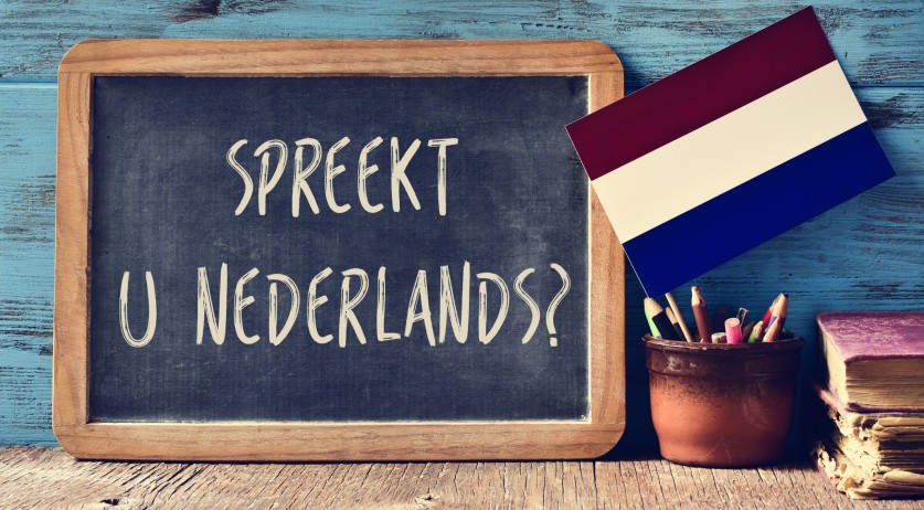 Large Dutch cities worried about refugees stuck in old naturalization system