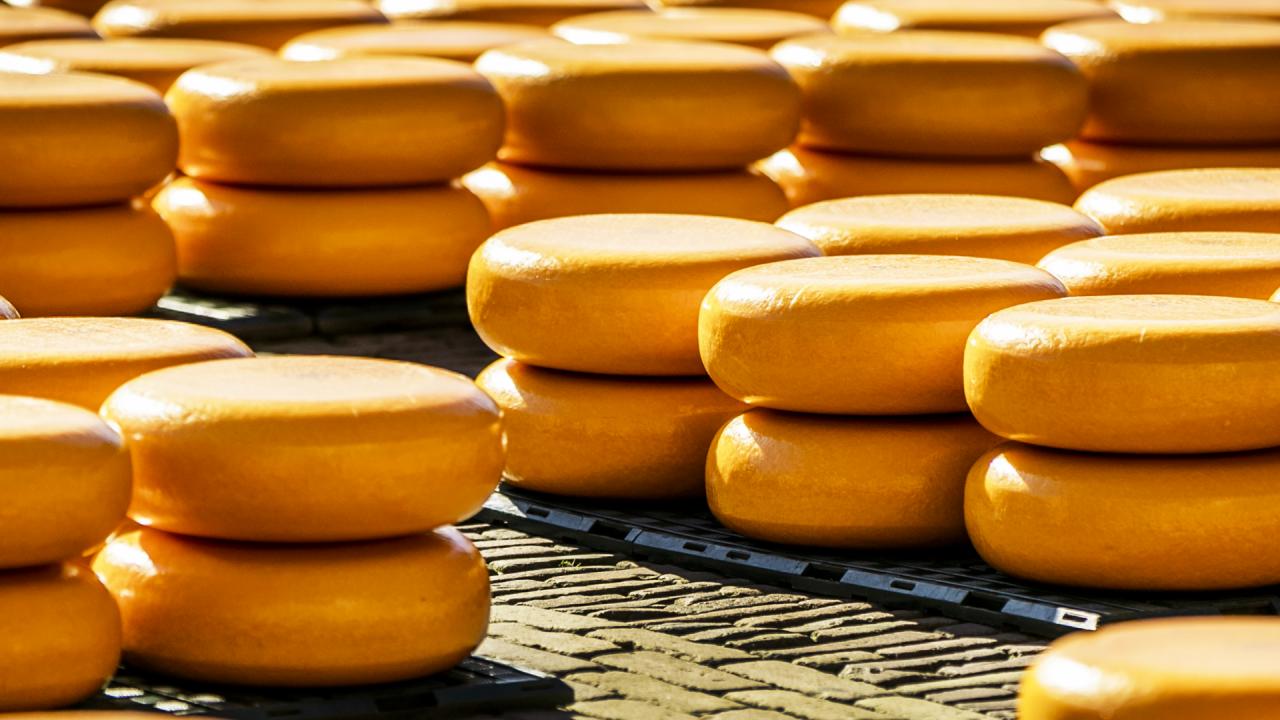 Half of Dutch cheese exports to be hit by U.S. trade tariffs: government