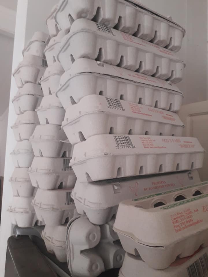 Court imposes fine on Moderno Chicken Farm for waste dumping