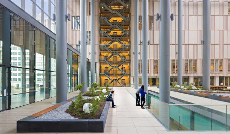 Dutch universities fear decline, dropouts, and more inequality due to new Cabinet plans