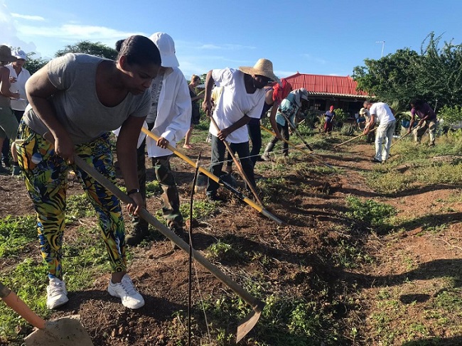 CurHydro Expands High-Tech Farming to Strengthen Curaçao’s Food Security