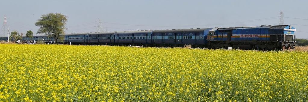 Exclusive: France's Mersen raided by India's antitrust body - sources