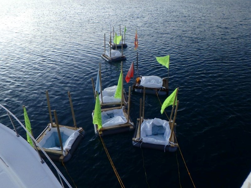 Less trash this year at Fuikdag