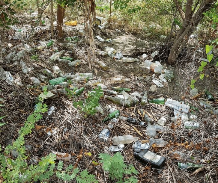 Nearly 300 kilos of waste collected in Montaña cleanup effort