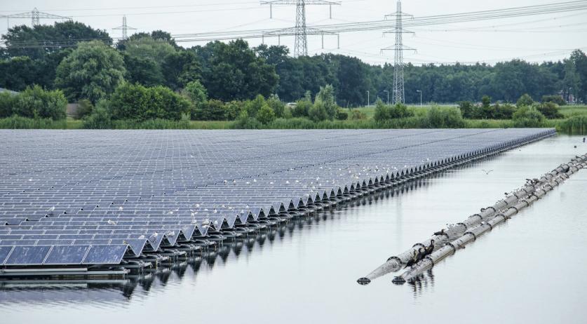 Green startups in Netherlands now employ 135,000 people; Up 7.6%