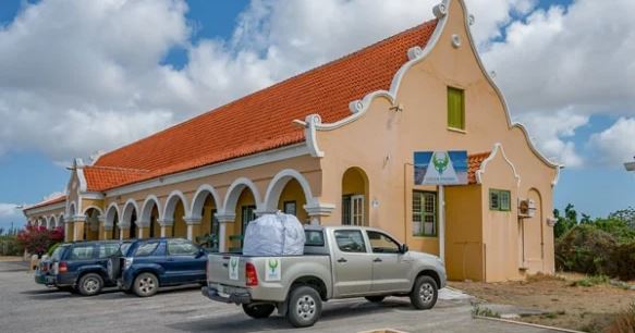 Critical Situation for Green Phenix