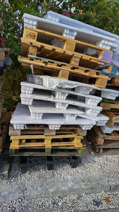 Green Force Urges Immediate Ban on Plastic Pallet Imports to Protect Curaçao’s Environment