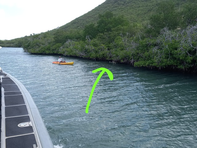 Update: Corpse found at Piscadera Bay mangrove forest identified