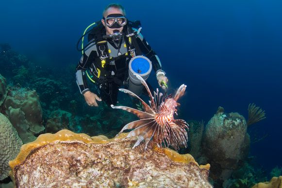 Curaçao wants to introduce a diving tax