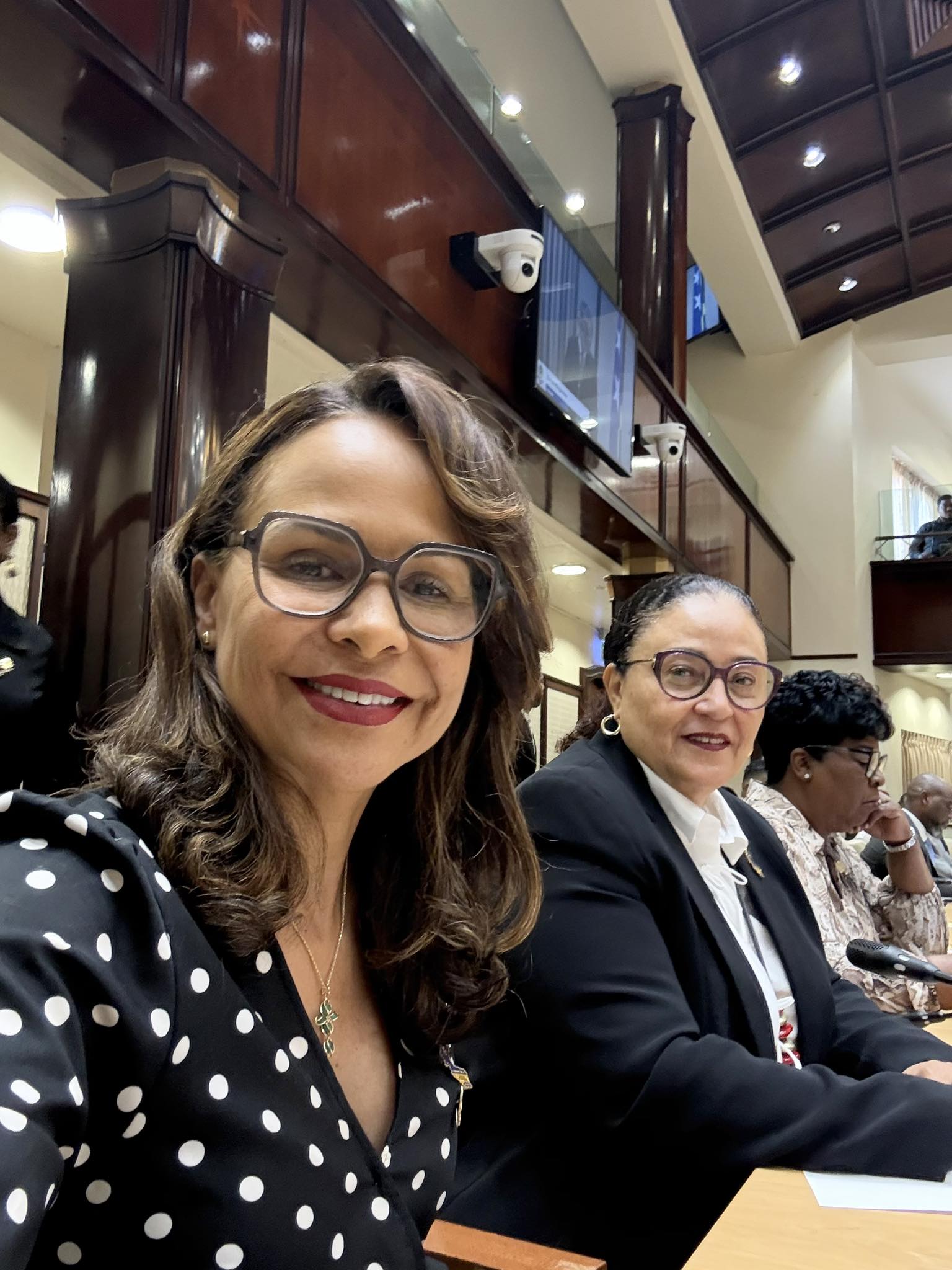 MAN-PIN Accuses Government of Undermining Independence of Audit Chamber