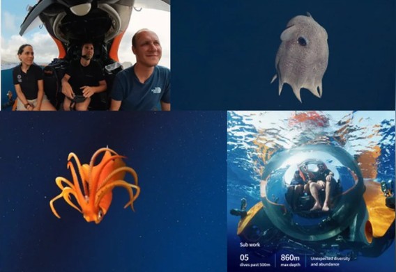 Deep-Sea Expedition Around Curaçao Transformed into Free School Materials