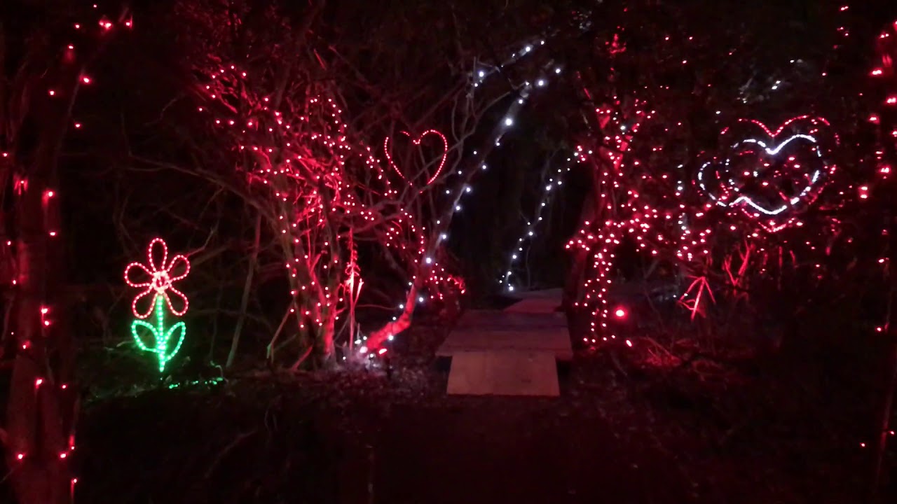 Mondi Mágiko will not take place this year