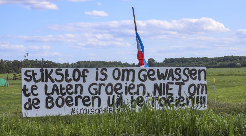 Netherlands promises stricter nitrogen rules as nature continues to deteriorate
