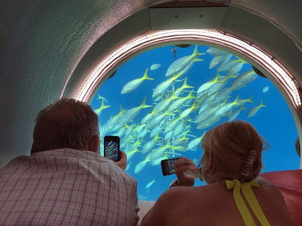 Oceans Day Webinar: “World oceans day & the transition to blue economy”