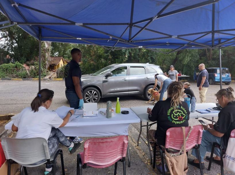 Free Pet Chipping and Sterilization Event Held in Zuikertuintje