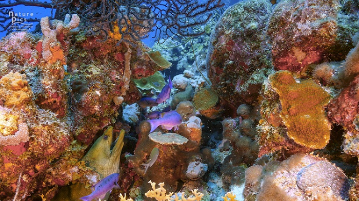 DCNA shares Concerns with Dutch Minister regarding lack of structural support for nature organizations