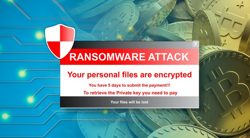 Ransomware turning into a national crisis, experts warn