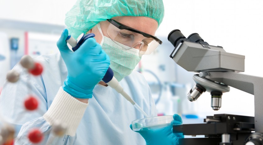 Netherlands working with China in DNA research; Experts concerned