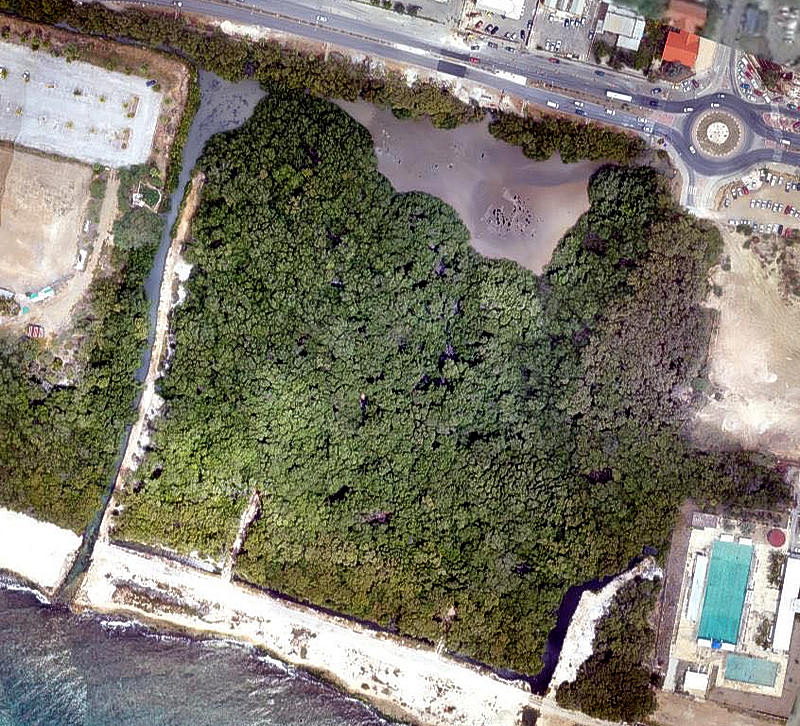 Mangroves in the Dutch Caribbean: Vital, Vulnerable, and Vanishing