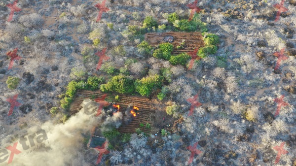 Three marijuana plantations discovered at Ronde Klip