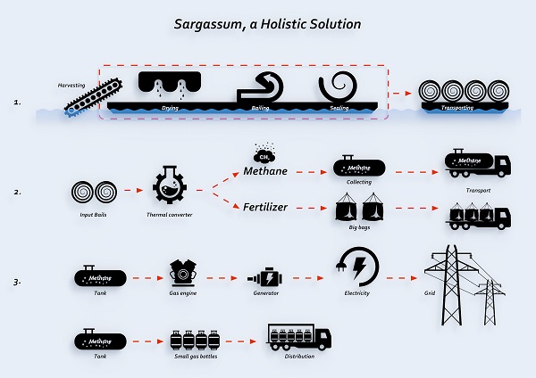 Damen partners with Maris to consider seaweed solution