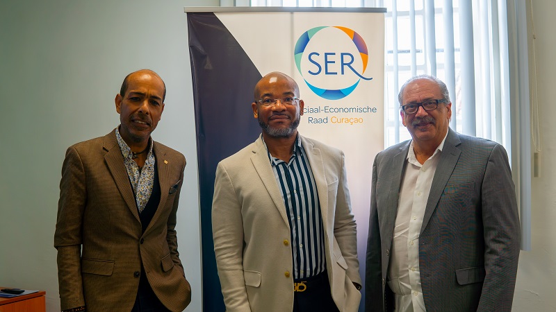 SER advice on review and repair of tax laws