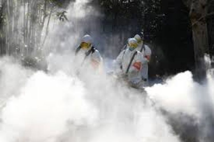 Seven killed as passenger vehicle explodes in southeast Colombia