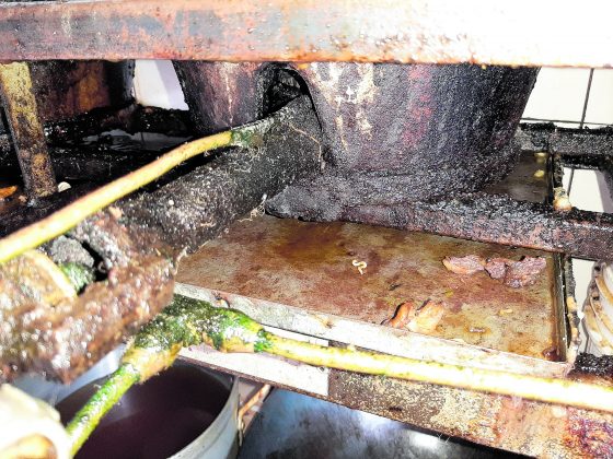 Inspection closes snack bar in Marie Pampoen