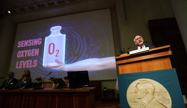 SWEDEN-STOCKHOLM-2019 NOBEL PRIZE ANNOUNCEMENT-PHYSIOLOGY OR MEDICINE