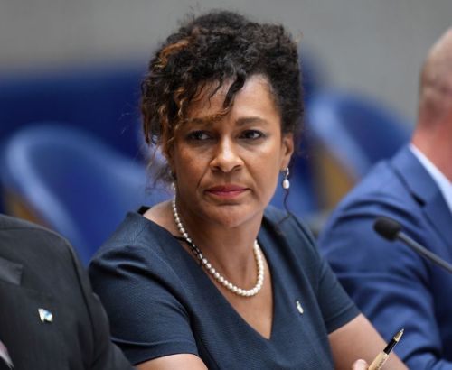 Wuite is number 20 on definitive D66 slate