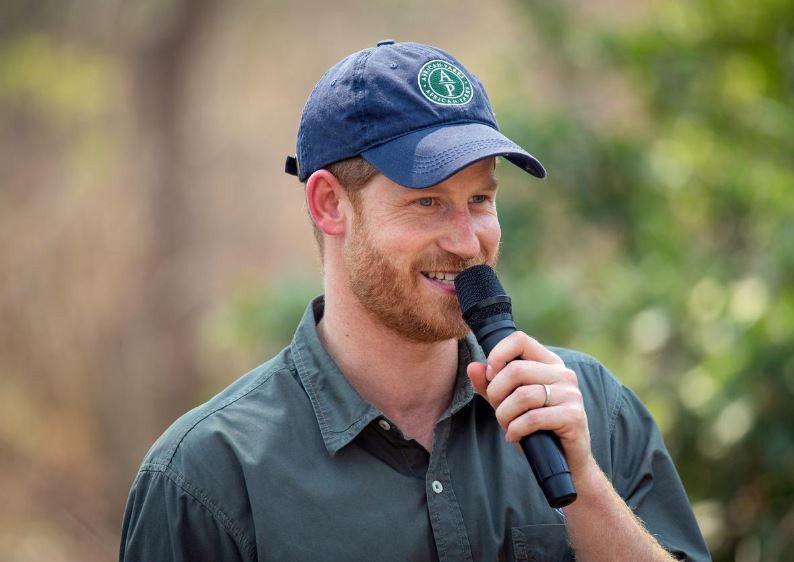 UK press watchdog rejects Prince Harry's complaint over drugged wildlife article