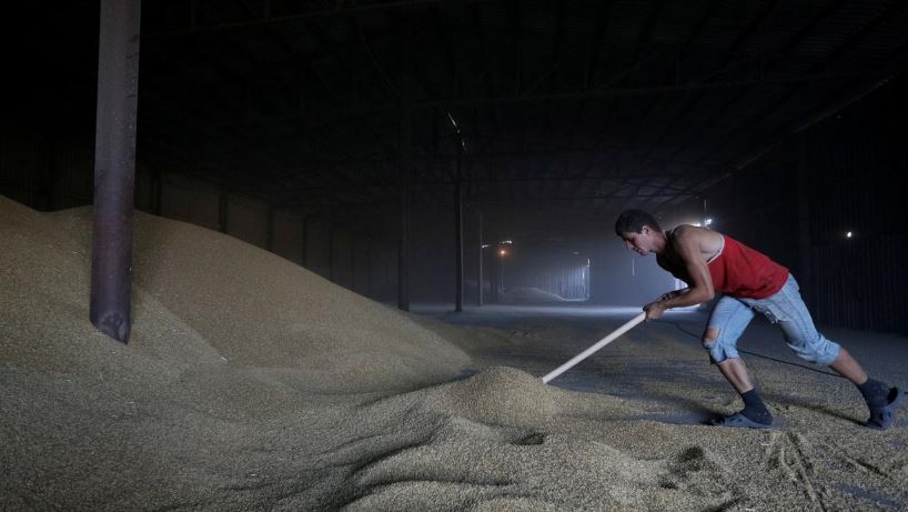 Ukraine adviser: excluding foreigners from buying land will hurt growth